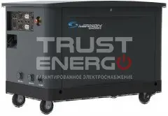 Газовый генератор Mirkon Energy MKG29TF с АВР